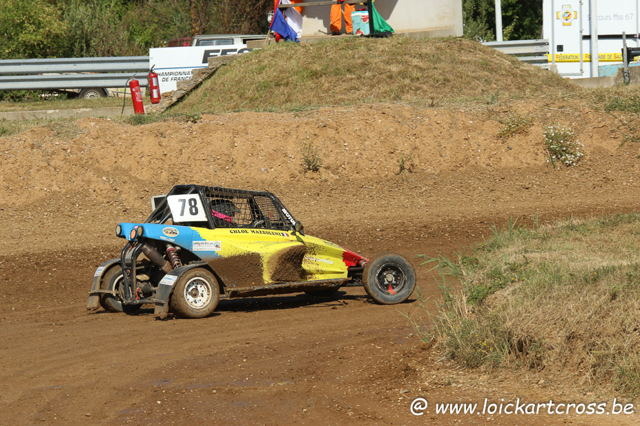 STEINBOURG ORNEC_2037